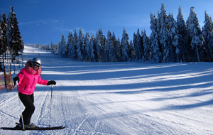 Skiareál Horní Domky Rokytnice nad Jizerou